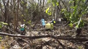 Leia mais sobre o artigo Corpo com marcas de tiros é encontrado em acampamento em área de mata de Macaíba