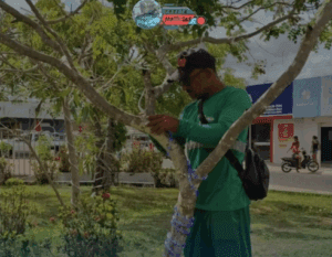 Leia mais sobre o artigo Prefeitura de Pureza investirá R$ 62 mil com decoração da natalina do “Pureza Luz” 