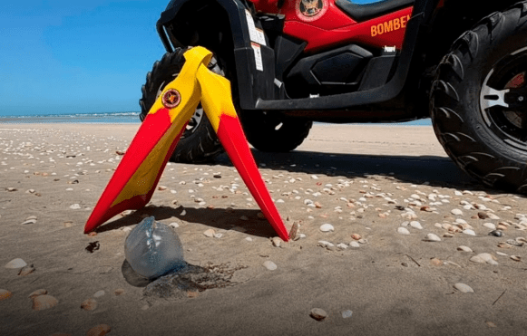 Leia mais sobre o artigo Bombeiros alertam para presença de caravelas-portuguesas na Praia de Tibau