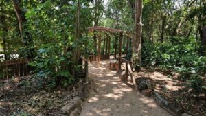 Leia mais sobre o artigo Idema realiza 9º SIMPARQUE celebrando os 25 anos do SNUC e debate o futuro das áreas protegidas no RN