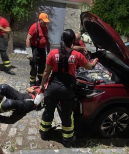 Leia mais sobre o artigo Bombeiros resgatam dois filhotes de gato presos em motor de carro em Mossoró