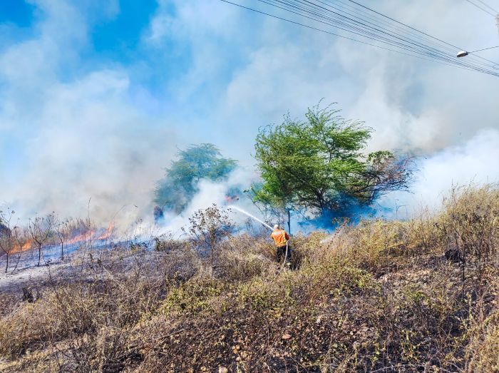 No momento, você está visualizando Incêndios: Corpo de Bombeiros atende 13 ocorrências de incêndio em vegetação em um único dia