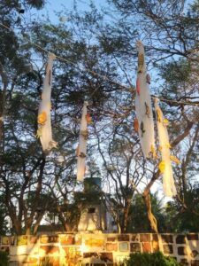 Leia mais sobre o artigo Instalação “Sol da Meia-Noite” é inaugurada na Galeria Sol da Meia Noite, em São Miguel do Gostoso