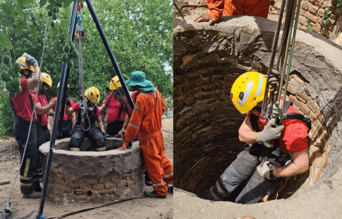 Leia mais sobre o artigo Bombeiros resgatam jumento que caiu em cacimbão ao fugir de ataque de marimbondos