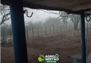 Leia mais sobre o artigo Primeiras chuvas do ano animam produtores do Seridó potiguar