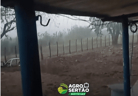 Leia mais sobre o artigo Primeiras chuvas do ano animam produtores do Seridó potiguar