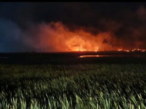Leia mais sobre o artigo Incêndio de grandes proporções é registrado na zona rural de São Miguel do Gostoso
