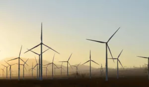 Leia mais sobre o artigo Pesquisa interdisciplinar da Ufersa vai melhorar eficiência de parques eólicos