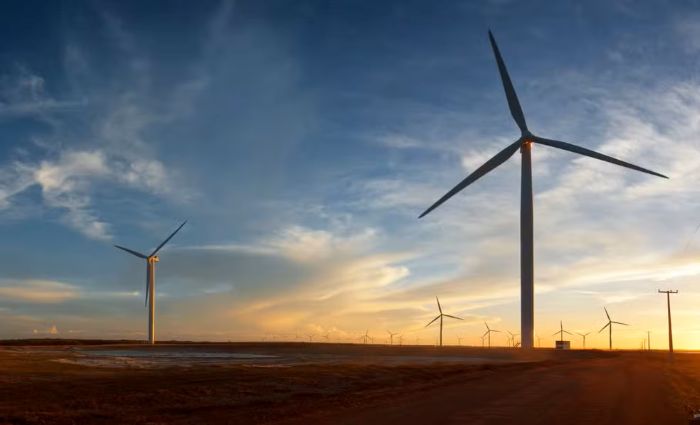 Leia mais sobre o artigo Como o RN se tornou referência nacional em energia limpa; 98% da produção do estado vem de fontes renováveis