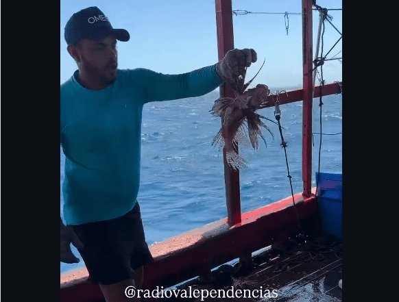 Leia mais sobre o artigo Pescadores de Guamaré registram captura de peixes-leão e alertam para riscos