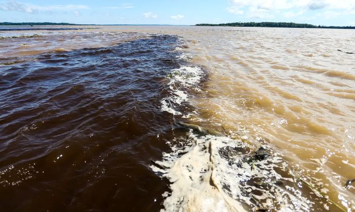 Leia mais sobre o artigo Naufrágio no Amazonas deixa dois mortos e sete pessoas desaparecidas