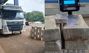 Leia mais sobre o artigo Polícia Civil apreende carga milionária de cocaína com quase 250 kg escondidos em caminhão