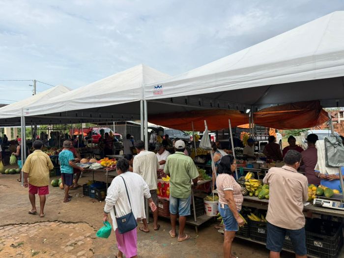 No momento, você está visualizando Feira Livre de Pedra Grande passa a contar com cobertura de tendas durante o período chuvoso