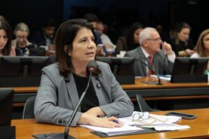 Leia mais sobre o artigo Câmara aprova por unanimidade Grupo de Trabalho para enfrentar o tráfico internacional de mulheres e crianças