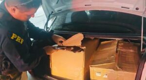 Leia mais sobre o artigo PRF apreende carga de R$ 16 mil em cigarros contrabandeados na BR-101, em Parnamirim/RN