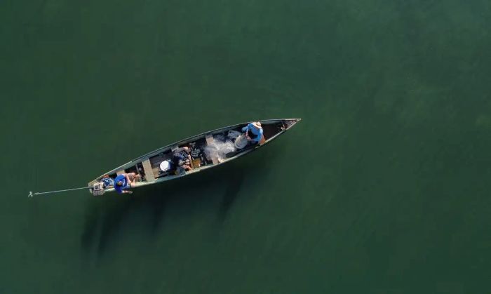 Leia mais sobre o artigo Ministério da Pesca cancela mais de 76 mil licenças de pescadores