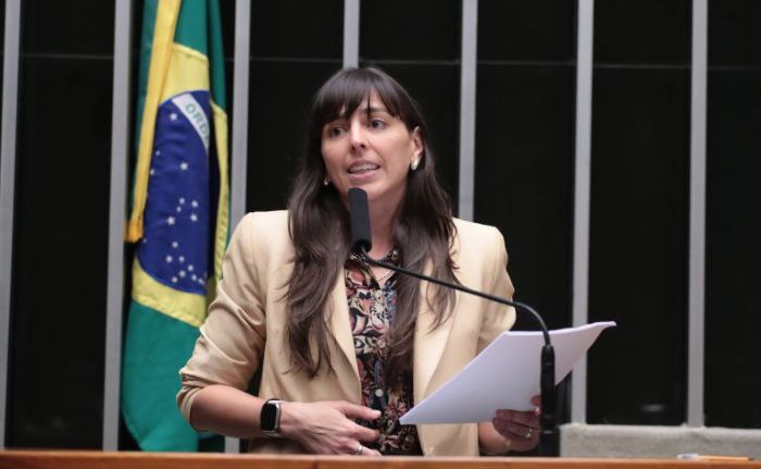 Leia mais sobre o artigo Projeto relatado por Natália Bonavides que permite quebra de sigilo bancário para fixar pensão alimentícia é aprovado na Câmara