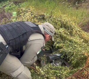 Leia mais sobre o artigo Polícia militar recupera motocicleta roubada escondida em vegetação no interior do RN