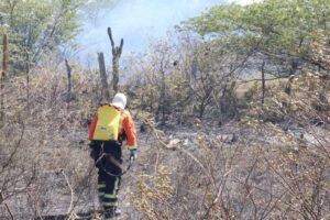 Leia mais sobre o artigo Bombeiros do RN alerta para aumento de incêndios em vegetação