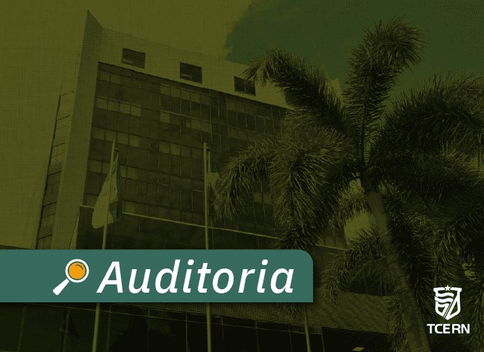 Leia mais sobre o artigo Auditoria do TCE aponta excesso de contratos temporários em Prefeitura do RN