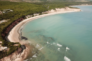 Leia mais sobre o artigo MPF firma acordo com prefeitura e operadores turísticos para proteger golfinhos da Praia de Pipa (RN)