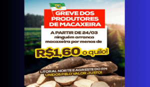 Leia mais sobre o artigo Produtores de Macaxeira do RN, PB e PE se unem em busca de valorização da cultura