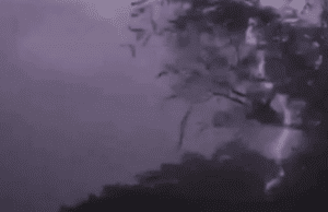 Leia mais sobre o artigo Raio mata dez vacas na zona rural entre Caicó e São Fernando