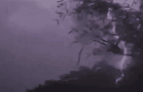 Leia mais sobre o artigo Raio mata dez vacas na zona rural entre Caicó e São Fernando