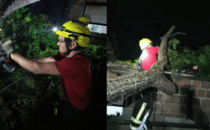 Leia mais sobre o artigo Ventos fortes e chuva derrubam árvores e danificam estruturas em Pau dos Ferros