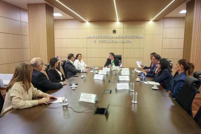 Leia mais sobre o artigo Em Brasília, governadora Fátima reforça agenda por proteção ao setor pesqueiro potiguar