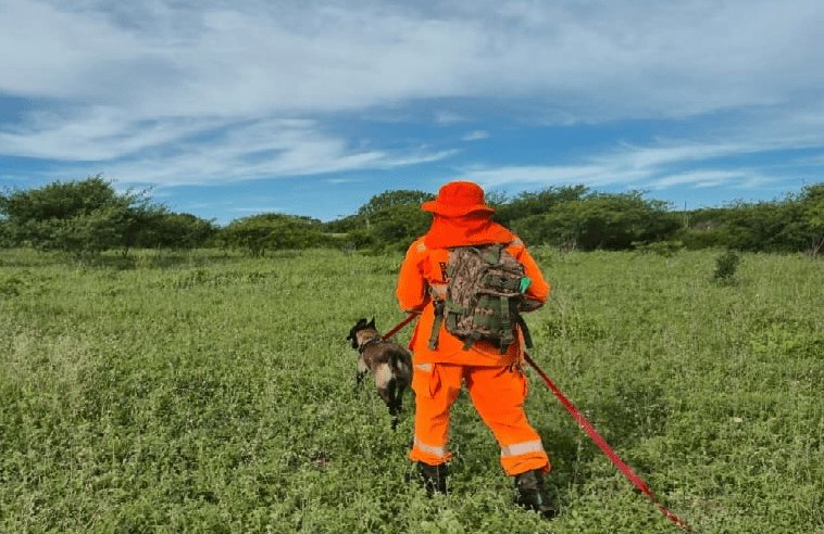 Leia mais sobre o artigo Bombeiros RN localiza homem desaparecido em área de mata e realiza resgate com sucesso em Tangará