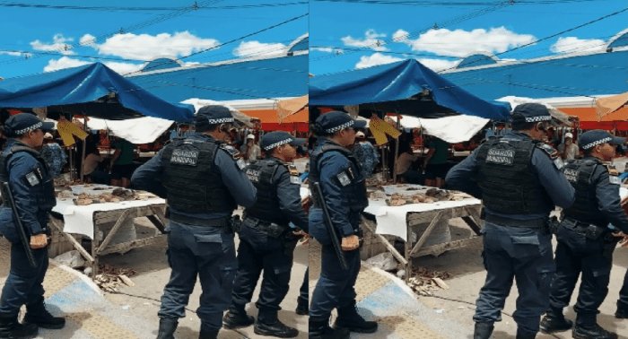 Leia mais sobre o artigo Guarda Civil de João Câmara segue firme ao uso de drogas nos espaços públicos