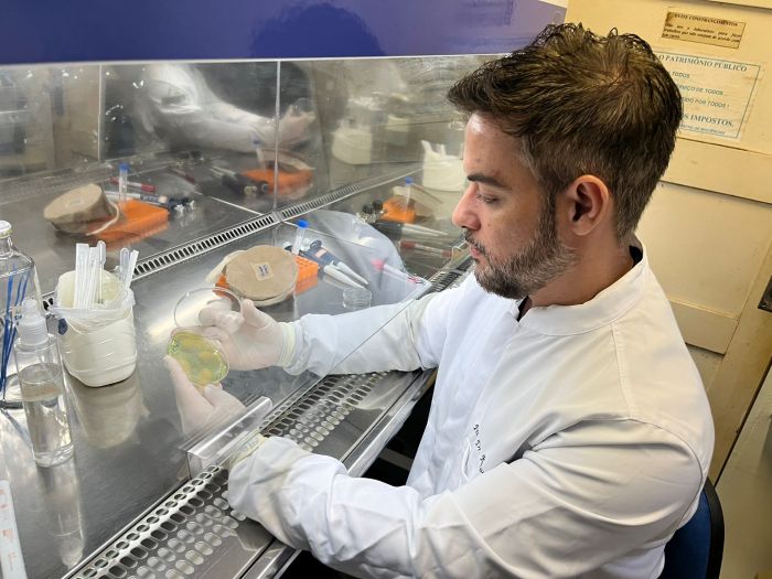 No momento, você está visualizando Bactéria encontrada em detergentes: pesquisadores da UFRN estudam a Pseudomonas aeruginosa, classificada como patógeno prioritário pela OMS