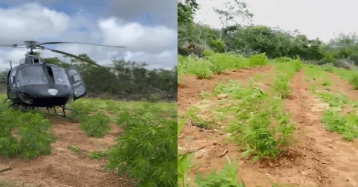 Leia mais sobre o artigo Helicóptero Potiguar 01 é decisivo em operação contra o tráfico no sertão pernambucano