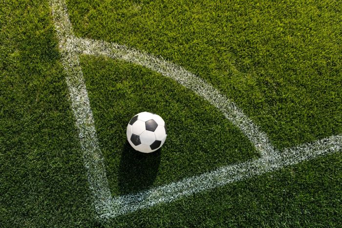 Leia mais sobre o artigo Ministério Público suspende torcida organizada do América por sete jogos após agressão a pessoa idosa