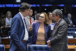 Leia mais sobre o artigo Com voto de Zenaide, viram lei seguro-defeso e direito a crédito para pescadores artesanais do Rio Grande do Norte