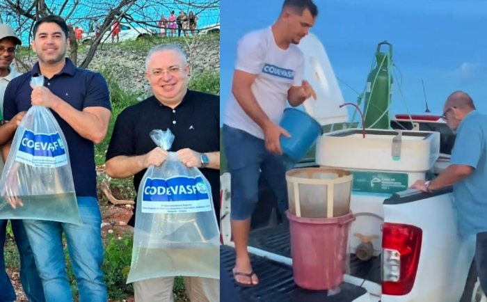 Leia mais sobre o artigo Prefeitura de Poço Branco realiza soltura de camarões Pitú na barragem