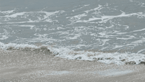 Leia mais sobre o artigo Corpo é encontrado boiando em praia de São Miguel do Gostoso nesta sexta-feira (22)
