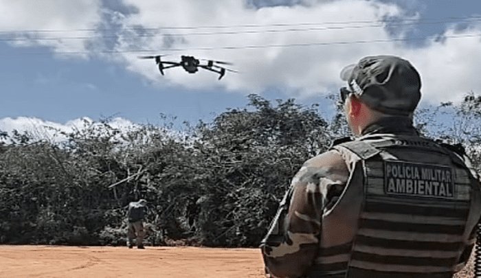 Leia mais sobre o artigo Ação Conjunta entre o BPAMB e o IBAMA apreende 120 arribaçãs abatidas no Seridó