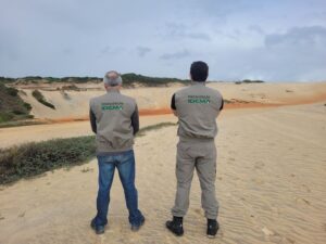 Leia mais sobre o artigo Caatinga registra redução de 25% no desmatamento em 2025, aponta MapBiomas