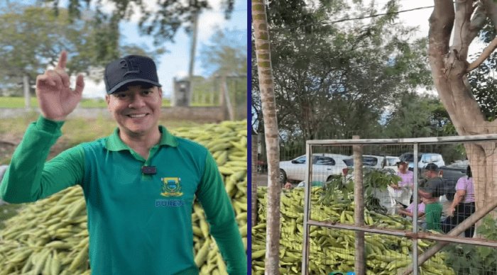 Leia mais sobre o artigo Prefeitura de Pureza distribui milho verde à população pelo segundo ano consecutivo na véspera de São João