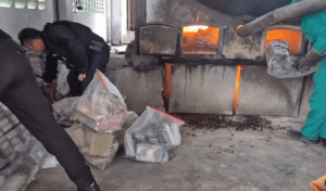 Leia mais sobre o artigo Polícia Civil realiza incineração de mais de uma tonelada de drogas