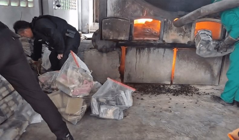 Leia mais sobre o artigo Polícia Civil realiza incineração de mais de uma tonelada de drogas