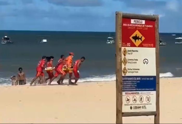Leia mais sobre o artigo Criança é mordida por tubarão na Praia de Piedade, em Jaboatão dos Guararapes na Grande Recife