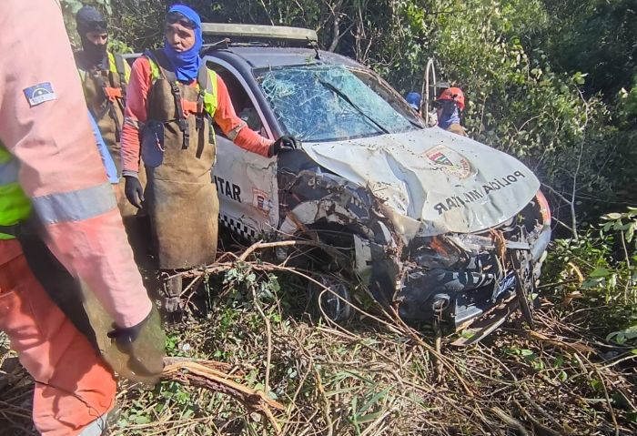 Leia mais sobre o artigo Viatura da PM capota na BR 101ao desviar de animal na rodovia