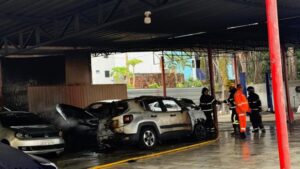Leia mais sobre o artigo Incêndio atinge loja de veículos e destrói carros na Avenida Ayrton Senna
