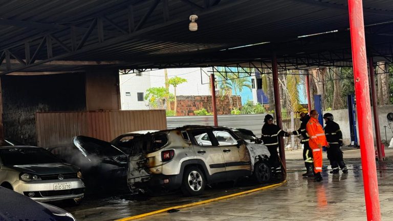 Leia mais sobre o artigo Incêndio atinge loja de veículos e destrói carros na Avenida Ayrton Senna