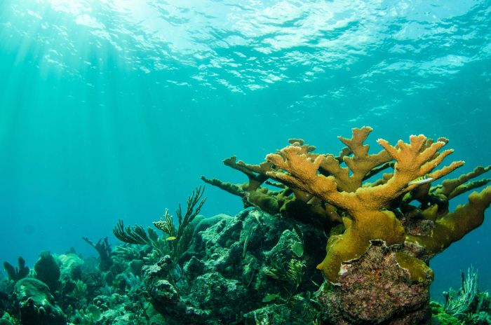 Leia mais sobre o artigo MPRN recomenda medidas para ordenar turismo nos parrachos de Rio do Fogo e Perobas
