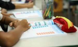 Leia mais sobre o artigo Educação política passa a integrar currículo escolar brasileiro