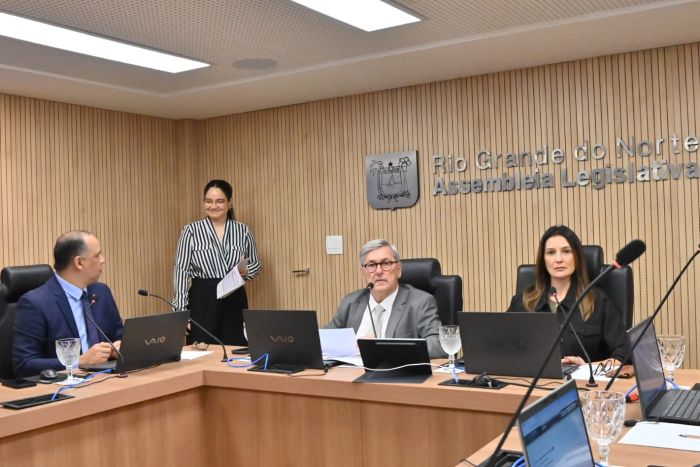 Leia mais sobre o artigo Comissão de Administração da Assembleia Legislativa aprova projetos sobre bombeiros, assistência e meia-passagem